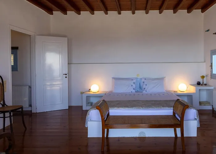 Blue View Mansion וילה Tínos